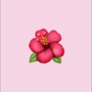 Meet your Posher, Allie